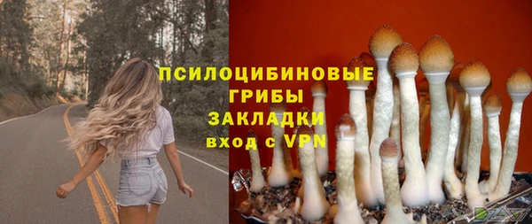 мет Нязепетровск
